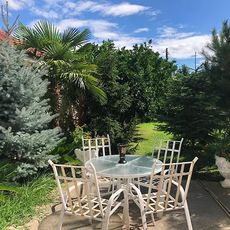 Guest house House Of Mimoza Shkoder