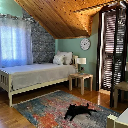 House Of Mimoza Guest house Shkoder